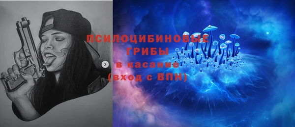 бошки Тавда