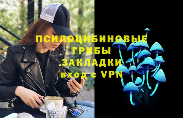 метадон Армянск
