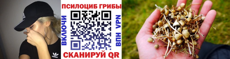 хочу наркоту  Венёв  Галлюциногенные грибы мухоморы 